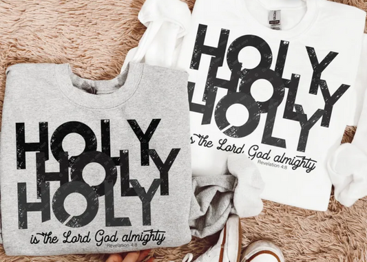 Holy Holy Holy is the Lord Almighty